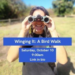 Winging It: A Bird Walk for the Mid-Figuring Out