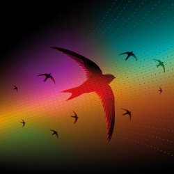 Vocalise! Summer Concert - The Swifts of Summer