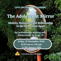 The Adolescent Mirror : Understanding Identity, Resistance and Relationship in the In Between Space