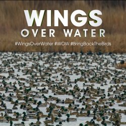 Michael Keaton's WINGS OVER WATER