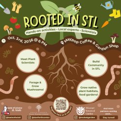 Rooted in STL