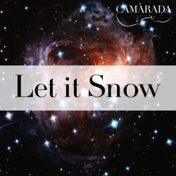 Museum As A Stage @ SDMA: Let it Snow