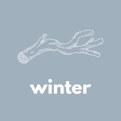 Noticing Nature at The Wilson – Winter Sessions