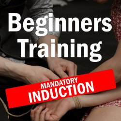 Beginner's Induction