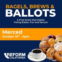 Barbeque, Beer, & Ballots - Merced
