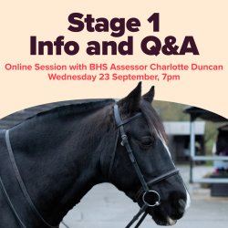 Stage 1 Information and Q & A Session