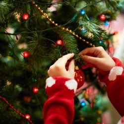 Grief Awareness Seminar:  Supporting Others Through Grief During the Festive Season