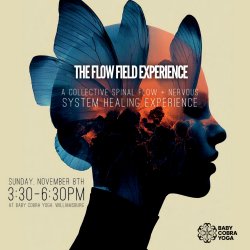 The Flow Field Experience with Eva Kornet