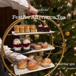 Festive Afternoon Tea🎄
