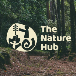 July Nature Summer Camp