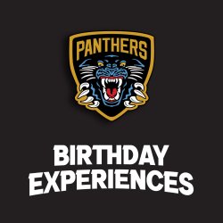 Nottingham Panthers v Manchester Storm
