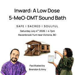 Inward: A Low Dose 5-MeO-DMT Sound Bath