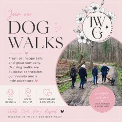 T-Wells Gals - Dog Walk