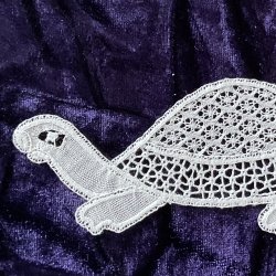 lace, tortoise