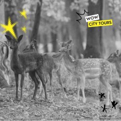 WCT. Wildpark Rheingönheim. Ein tierisches Erlebnis