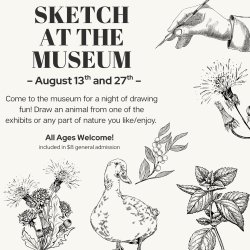 Sketch at the Museum