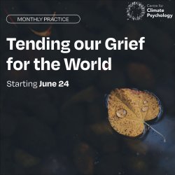 Tending our Grief for the World