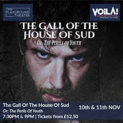 The Gall of The House of Sud (or The Perils of Youth Play) - Voila! Festival 2026