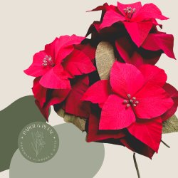 Crepe Paper Poinsettia Workshop