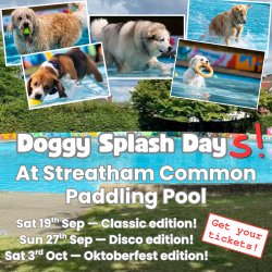 Doggy Splash Day at Streatham Common Paddling Pool