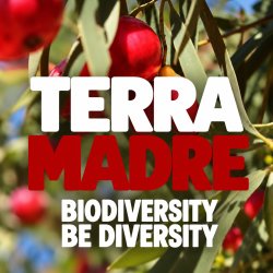 TERRA MADRE CELEBRATORY DINNER