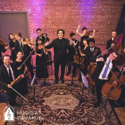 Mount Vernon Virtuosi Image