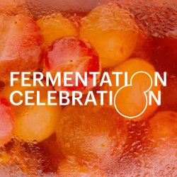 Fermentation Celebration