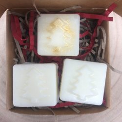 Aromatherapy Christmas Candle & Soap Workshop with Bunny Brewer