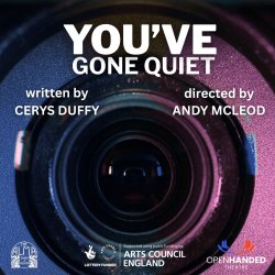 You've Gone Quiet by Cerys Duffy
