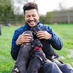 Be a Foster Hero - Dogs