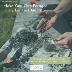 Make Your Own Foraged Herbal First Aid Kit - Nature School for Grownups Masterclass Series