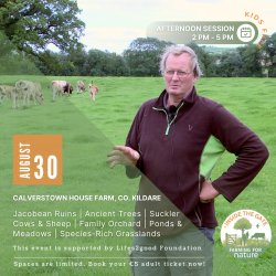 Inside the Gate: Calverstown House Farm, Co. Kildare