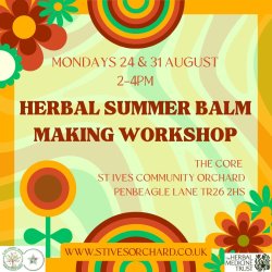 Herbal Summer Balm Making Workshop