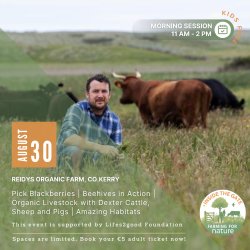 Inside the Gate: Reidys Organic Farm, Co. Kerry