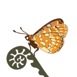Get to know the Local Nature Recovery Strategy