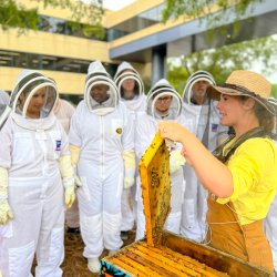 Bee Downtown Hive Tour @ Frontier RTP