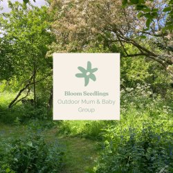 Bloom's Seedlings - Outdoor Mum & Baby Groups