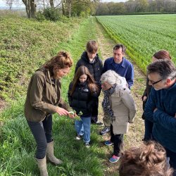 Cotswold foraging walks at Bruern Farms, near Chipping Norton