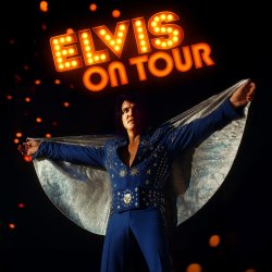 ELVIS ON TOUR At The Florida Ultimate Elvis Contest
