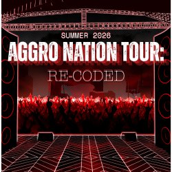 Aggro Nation Tour CreateLadyJ