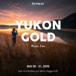Yukon Gold 2026