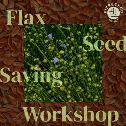 Flax seed saving hands-on workshop