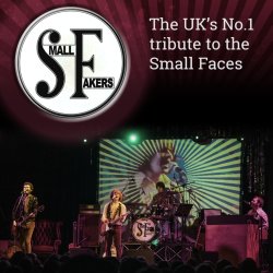Small Fakers