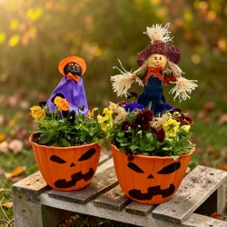 Pumpkin Pot Workshop