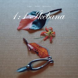 1:1 Ikebana Session (On-site/ Online) | Beginner Friendly