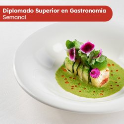 Diplomado Superior en Gastronomía Semanal