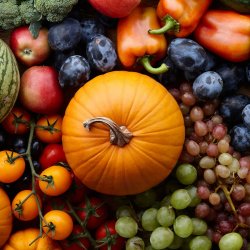 Harvest Festival 2026