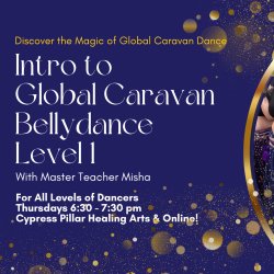 Intro to Global Caravan Bellydance with Misha Thursdays 6:30 pm Sarasota Florida or virtually online
