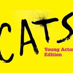 Holmer Green Players Juniors perform CATS - Young Performers Edition