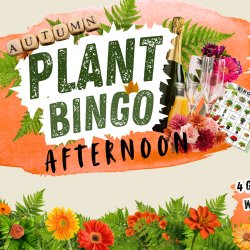 Autumn Plant Bingo Afternoon